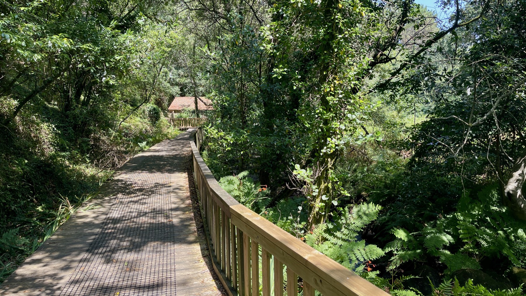Paseo de madera con barandilla junto al Paseo Fluvial